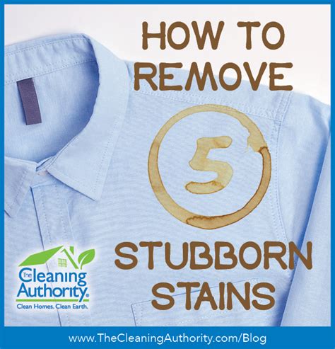 See the amazing results of our magic power stain remover for yourself